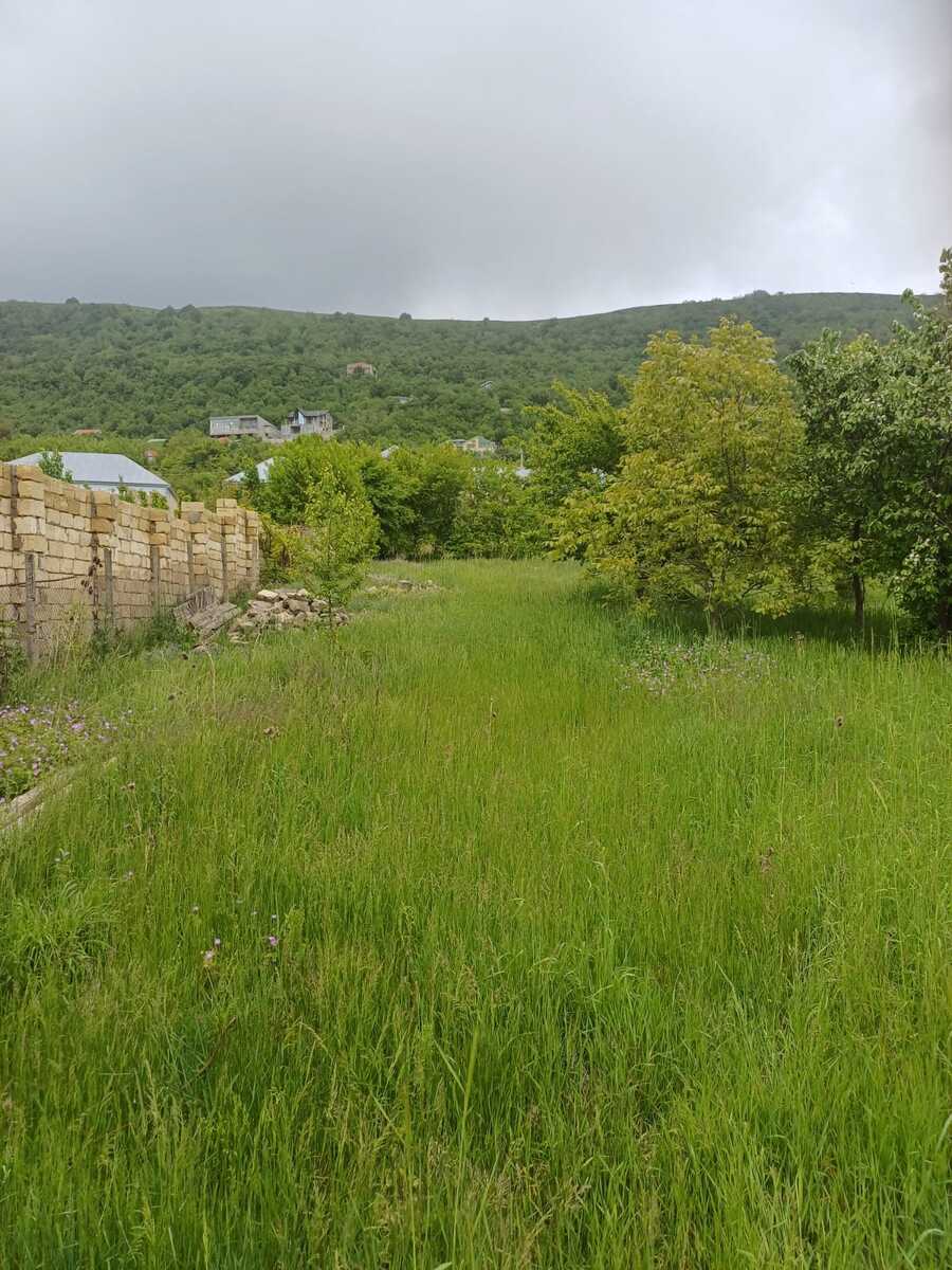 Satılır torpaq 12 sot — Torpaq, Şamaxı (4)