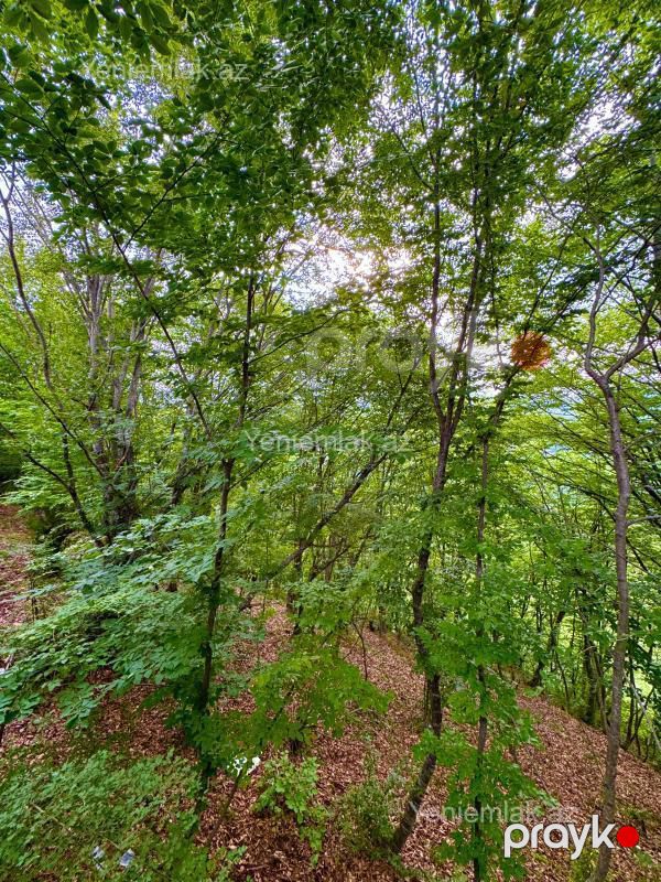 Günlük 1 otaqlı Həyət evi / Villa, 40 m², Quba — Ev, villa, Quba (9)