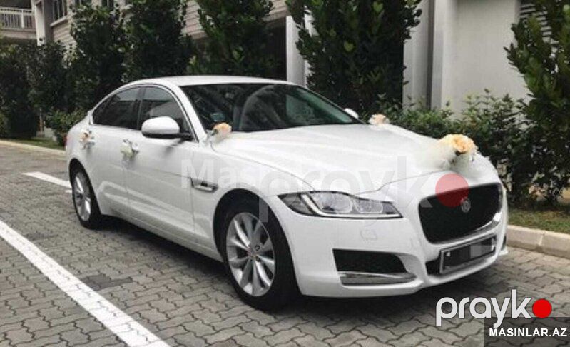 Jaguar jaguar xf, 2021 il — Minik avtomobili icarəsi, Bakı (4)