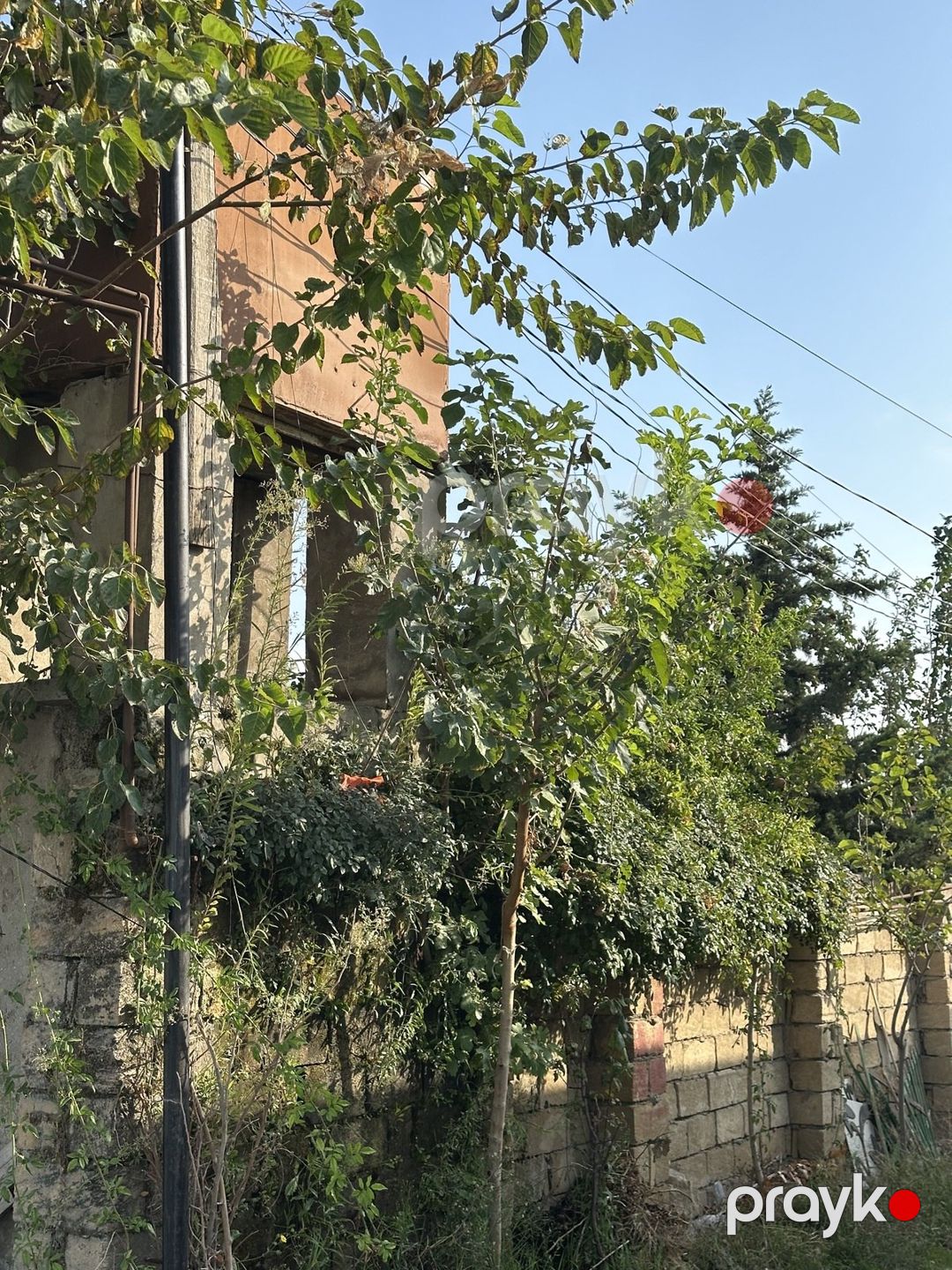 Satılır torpaq 4.2 sot — Torpaq, Bakı (4)
