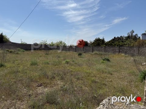 11.66 sot torpaq sahəsi, Xaşaxuna bağları — Bakı