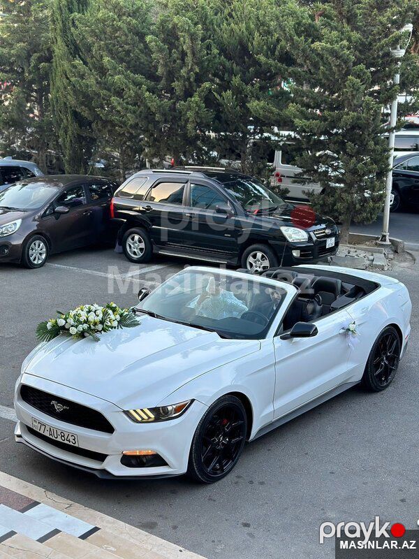 Ford Mustang Cabriolet, 2017 il — Minik avtomobili icarəsi, Bakı (4)