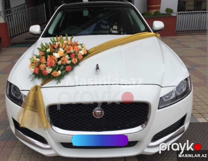 Jaguar jaguar xf, 2021 il — Minik avtomobili icarəsi, Bakı (8)