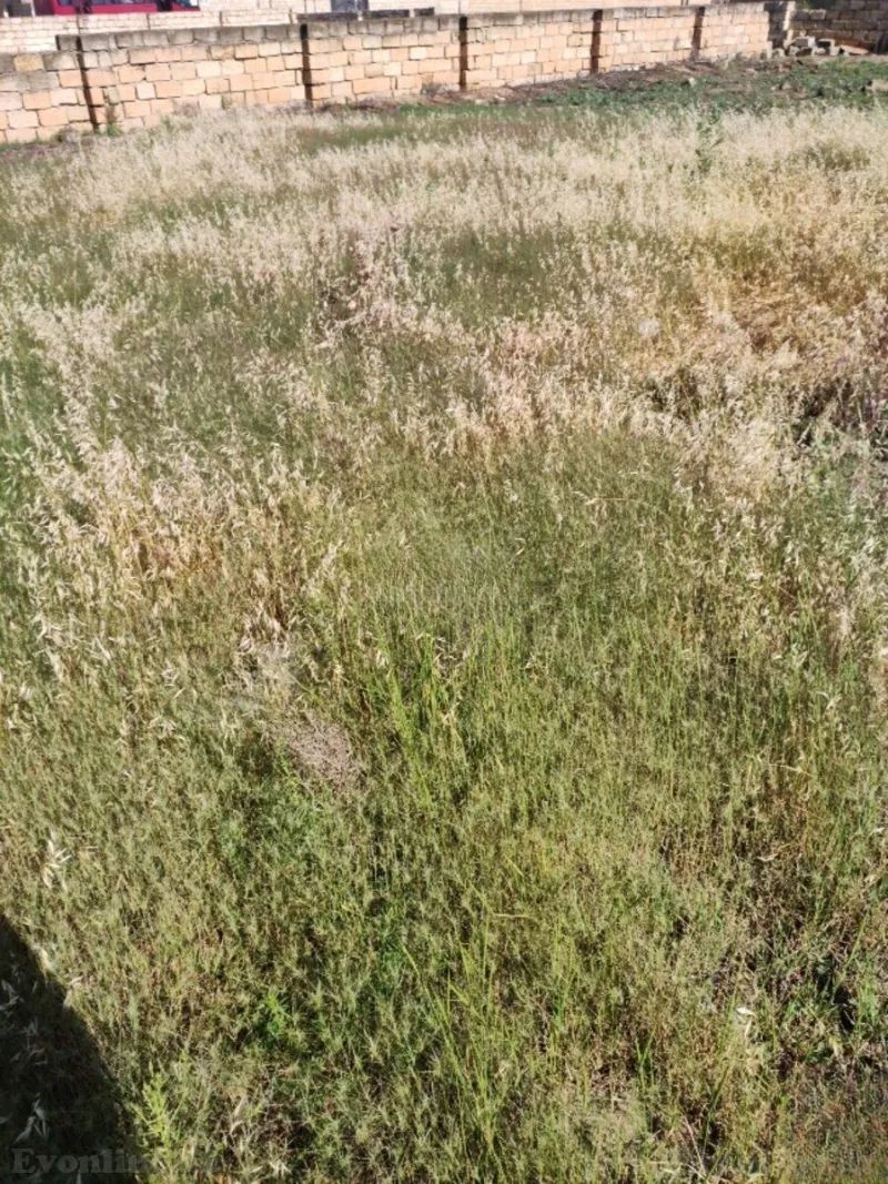 Satılır Torpaq 5 sot Bakı, Abşeron r., Mehdiabad — Torpaq, Bakı (2)