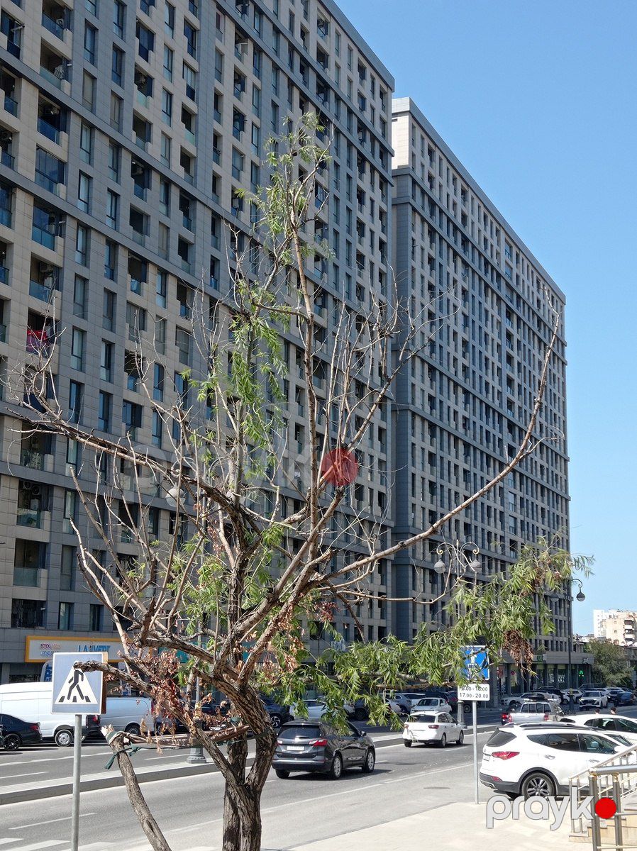Satılır 3 otaqlı yeni tikili 71.3 m² — Mənzil, Bakı (3)