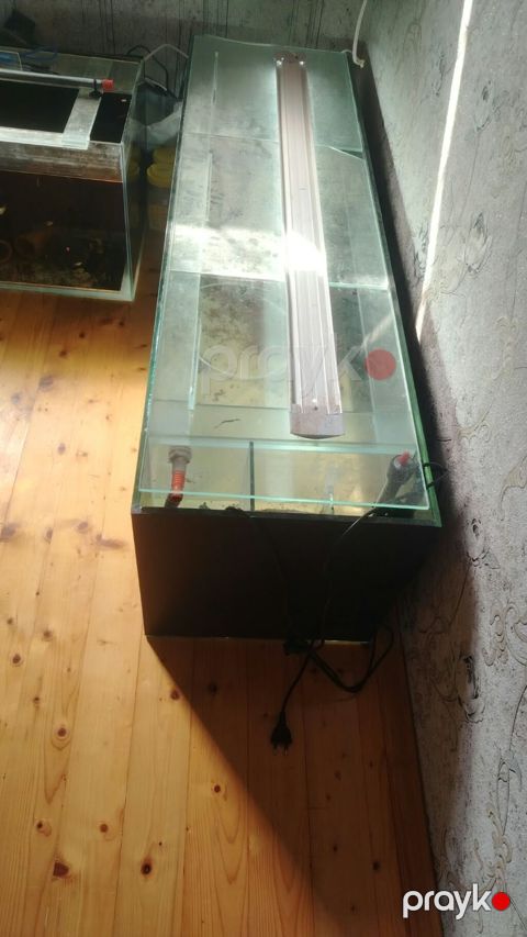 Dördbucaq akvarium, Boş, 250 l — Sumqayıt