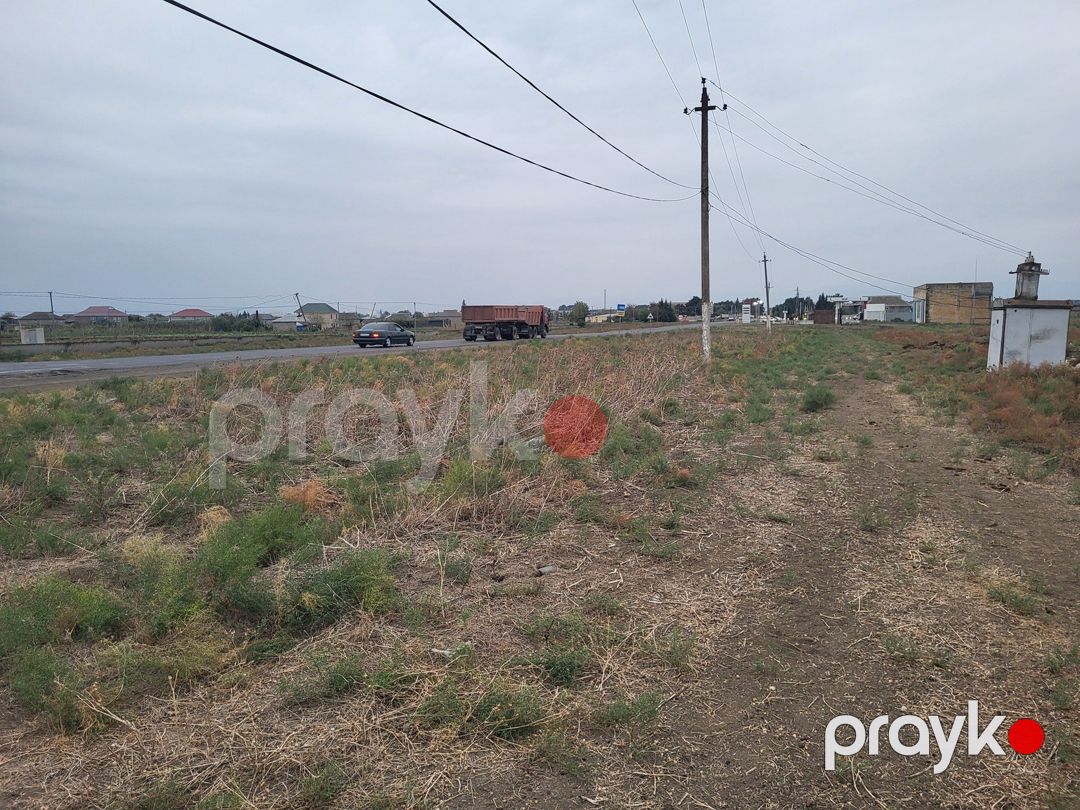Satılır torpaq 58 sot — Torpaq, Cəlilabad (4)