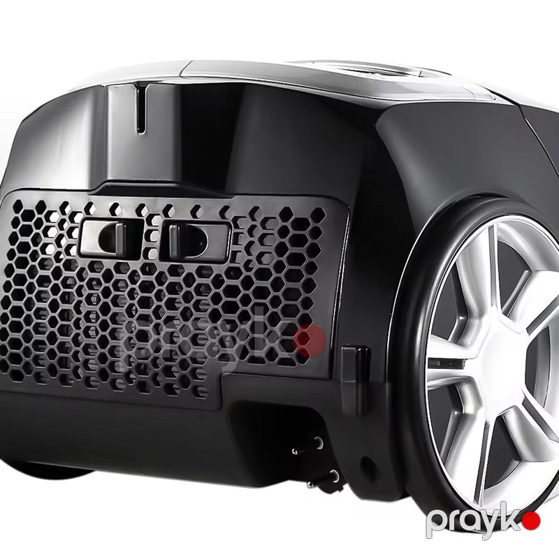 RAF R.8755 Elektrikli Tozsoran İki Başlıqlı Tozsoran 2800W — Tozsoran, Bakı (7)
