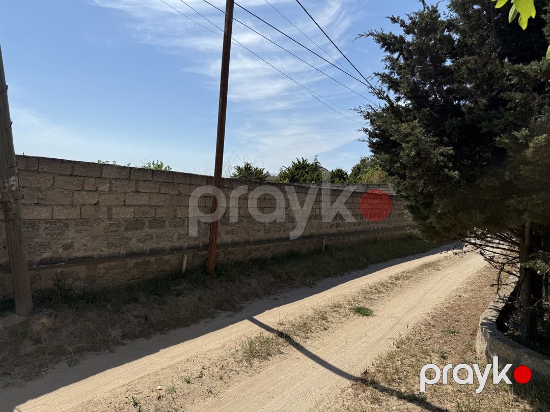 11.66 sot torpaq sahəsi, Xaşaxuna bağları — Torpaq, Bakı (6)