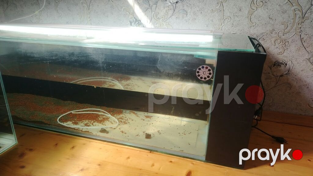 Dördbucaq akvarium, Boş, 250 l — Akvariumlar və balıqlar, Sumqayıt (2)