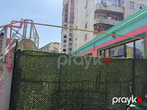 Süni yaşıl hasar/çit paneli - Material: UV-davamlı plastik yarpaq — Bakı