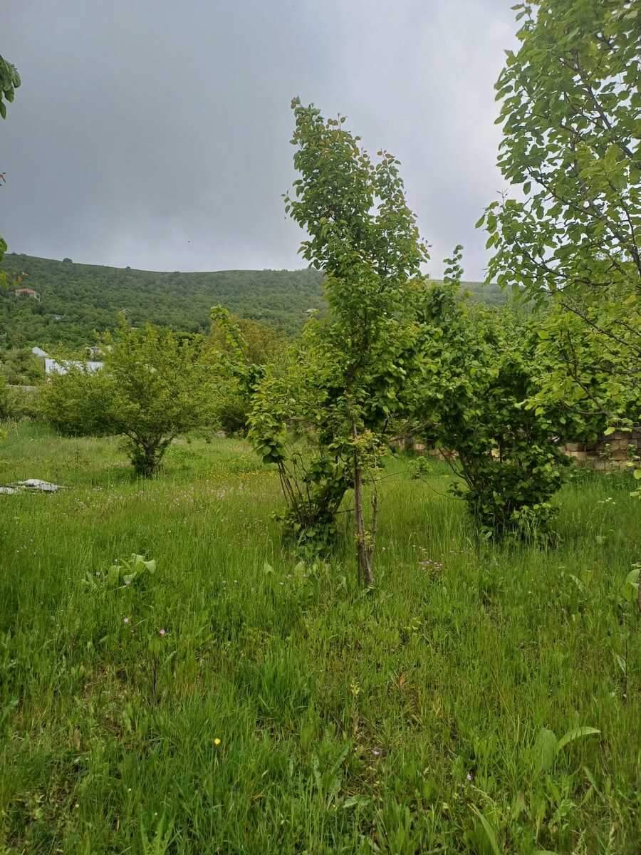 Satılır torpaq 12 sot — Torpaq, Şamaxı (2)