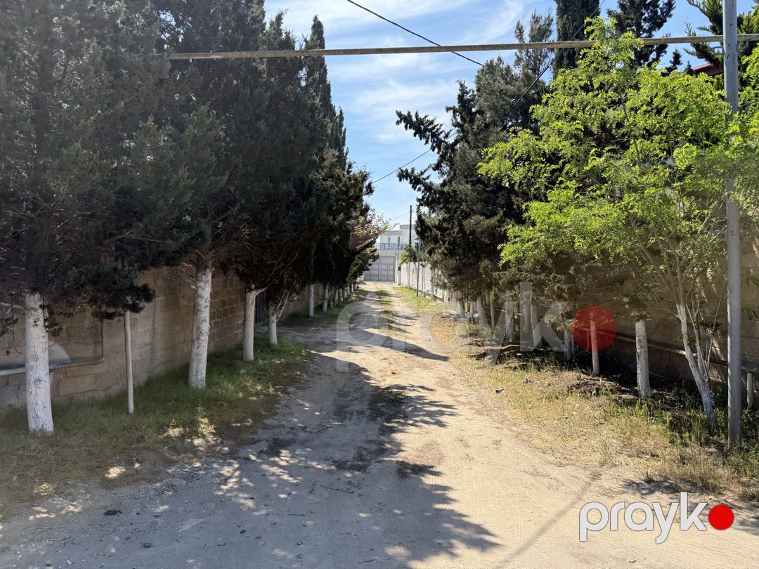 11.66 sot torpaq sahəsi, Xaşaxuna bağları — Torpaq, Bakı (5)