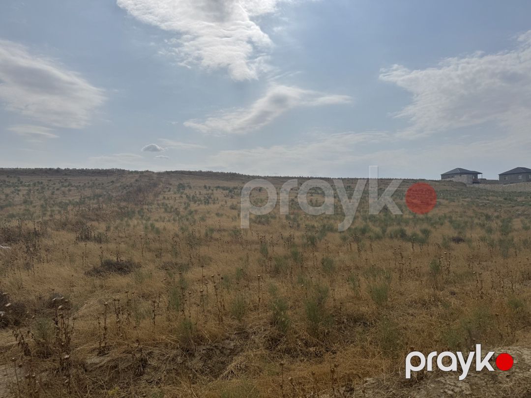 Satılır torpaq 98 sot — Torpaq, Bakı (5)