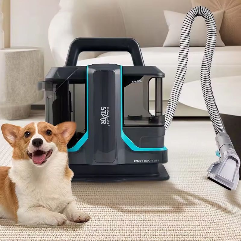 Wınnıng Star ST-4600 Elektrikli Portativ Xalça Yuyan Parça Divan Təmizləyici Maşın 450W — Tozsoran, Bakı (4)