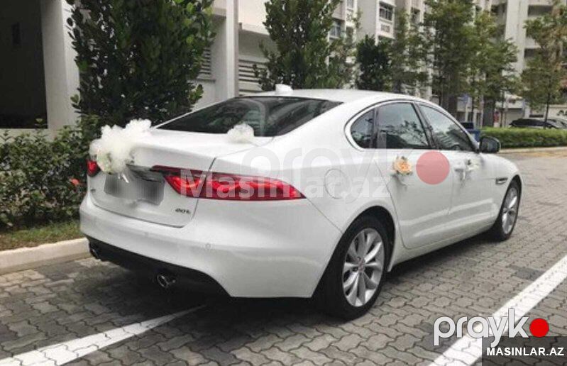 Jaguar jaguar xf, 2021 il — Minik avtomobili icarəsi, Bakı (2)