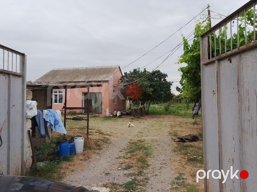 600 sot torpaq sahəsi, Şabran r — Torpaq, Şabran (3)