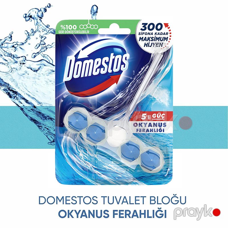 Domestos Wc Blok Tuvalet Bloğu Okyanus Ferahlığı 5'li Güç 50g Okyanus Ferahlığı Maksimum Hijyen — Mallar, Bakı (2)
