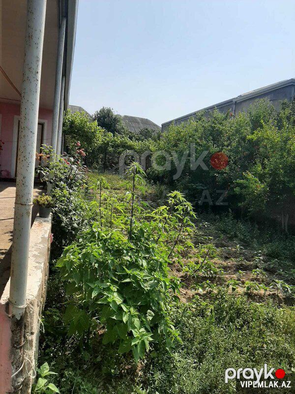 Suraxanı rayonunda Torpaq Satılır, 4 sot — Torpaq, Bakı (4)