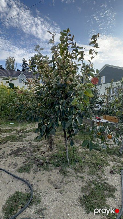 Satılır 4 otaqlı həyət evi/bağ evi 110 m² — Bakı