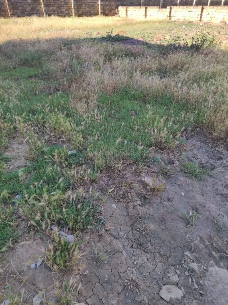 Satılır Torpaq 5 sot Bakı, Abşeron r., Mehdiabad — Torpaq, Bakı (4)