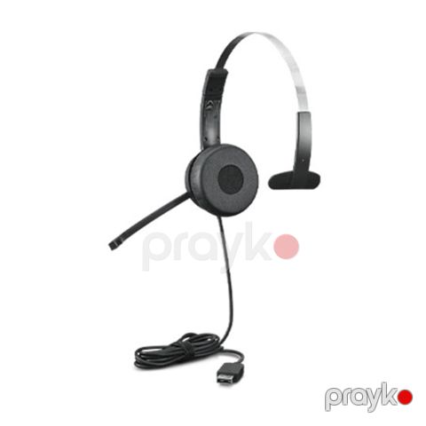 Lenovo 100 Mono USB Headset — Bakı