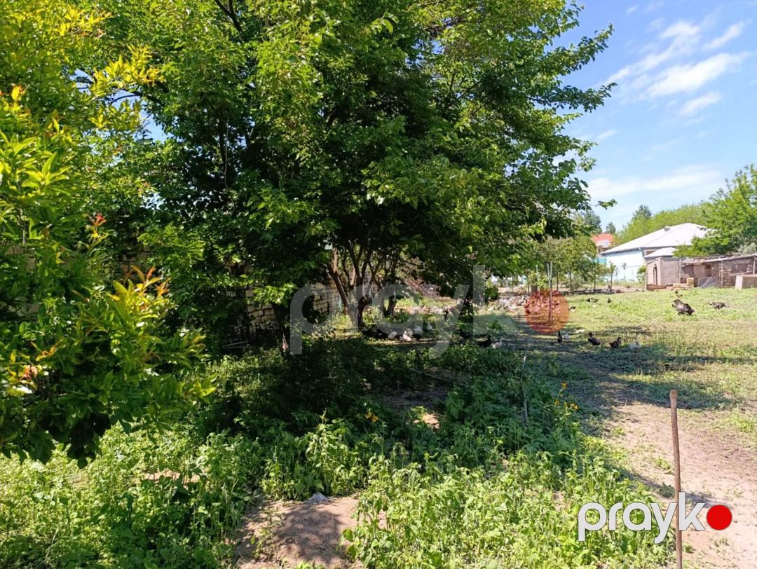 Satılır torpaq 10 sot — Torpaq, Bakı (2)