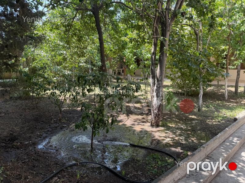Kirayə 7 otaqlı Həyət evi / Villa, 550 m², Binəqədi rayonu — Ev, villa, Bakı (3)