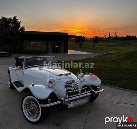 Jaguar jaguar kallista phantera callista, 1955 il — Bakı