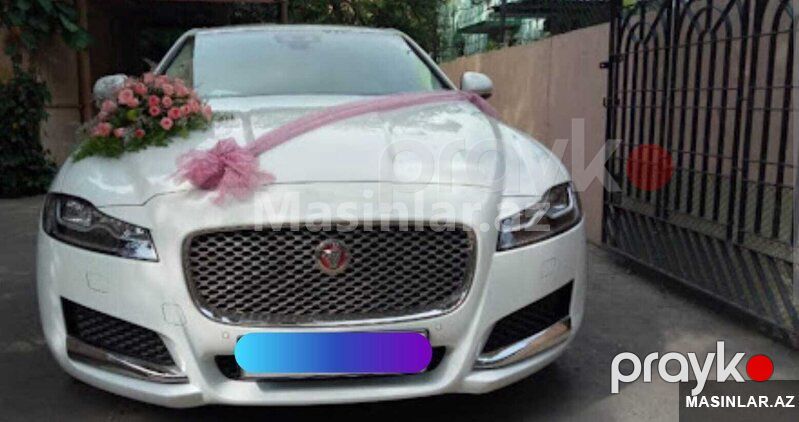 Jaguar jaguar xf, 2021 il — Minik avtomobili icarəsi, Bakı (6)