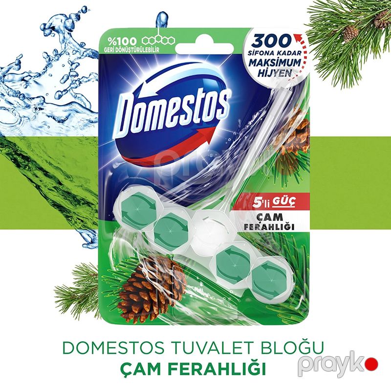Domestos Wc Blok 50 Gr Cam Ferah Çam Ferahlığı Tuvalet Bloğu Domestos 5li Çam Ferahlığı Maksimum Hijyen — Mallar, Bakı (5)