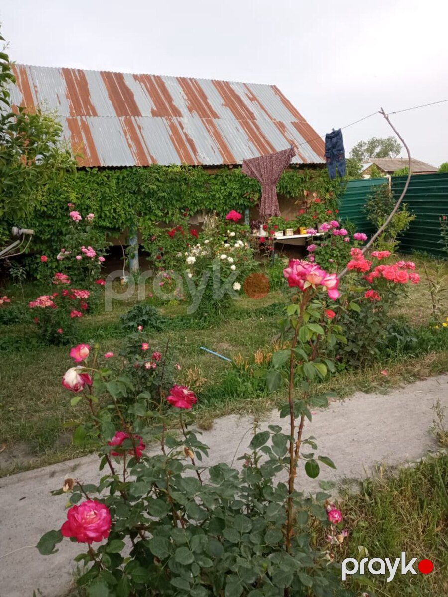 Həyət evi, Qəbələ r — Ev, villa, Qəbələ (3)