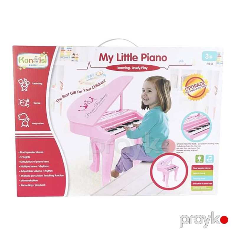 My Little Piano Uşaq Pianinosu – İşıqlı və Səsli Oyuncaq Piano — Oyuncaqlar, Bakı (4)