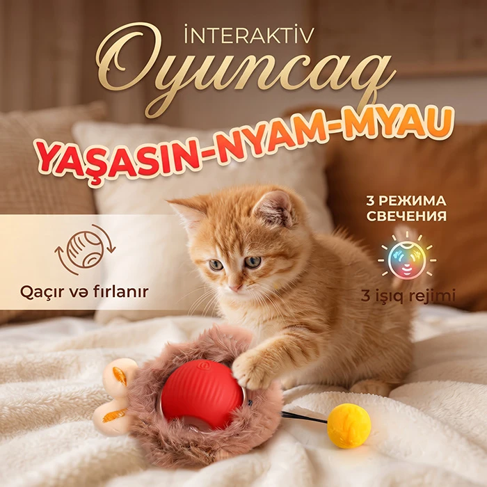 Pişik və İtlər üçün Ağıllı İnteraktiv Oyuncaq — Mallar, Bakı (2)