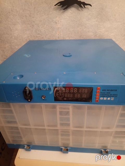 Expert Mini Inkubator – 80W - Rəqəmsal idarəetmə paneli: temperatur — Bakı