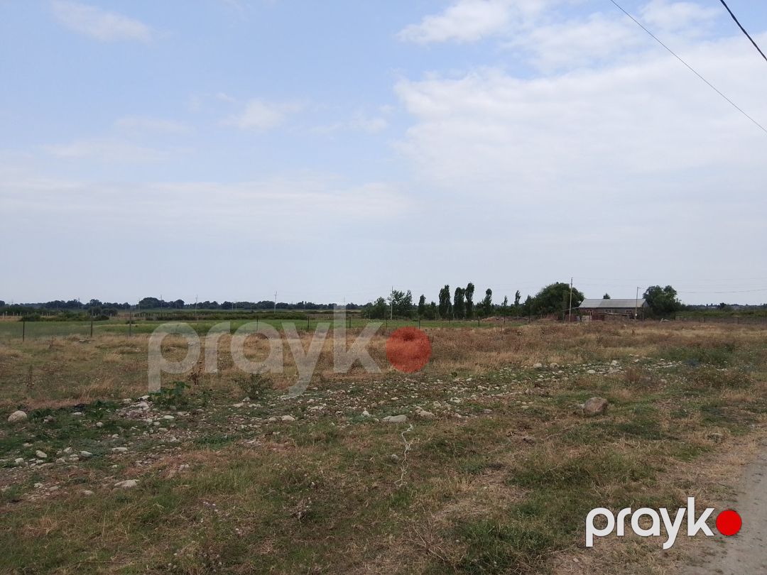 600 sot torpaq sahəsi, Şabran r — Torpaq, Şabran (4)
