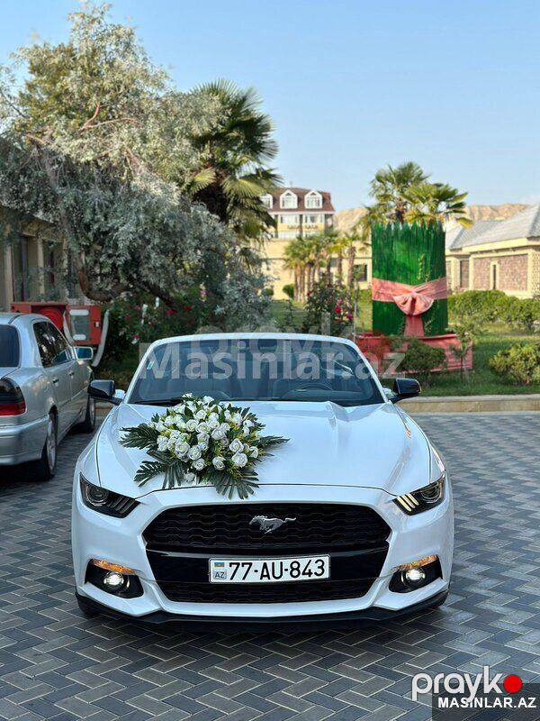 Ford Mustang Cabriolet, 2017 il — Minik avtomobili icarəsi, Bakı (7)