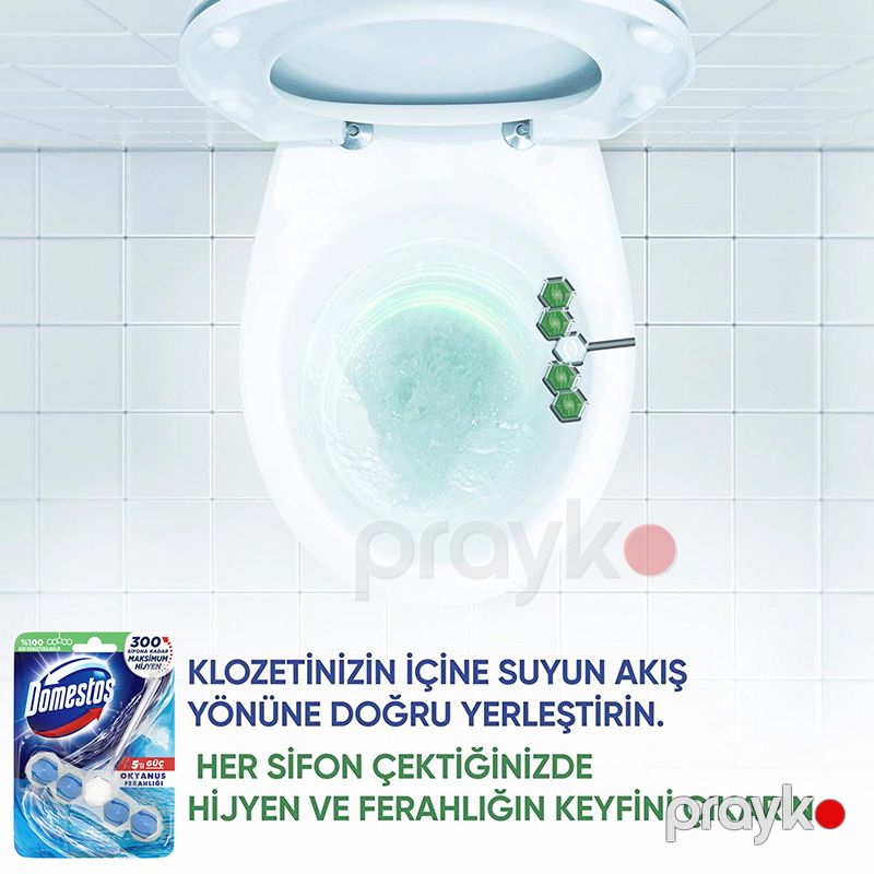 Domestos Wc Blok Tuvalet Bloğu Okyanus Ferahlığı 5'li Güç 50g Okyanus Ferahlığı Maksimum Hijyen — Mallar, Bakı (3)