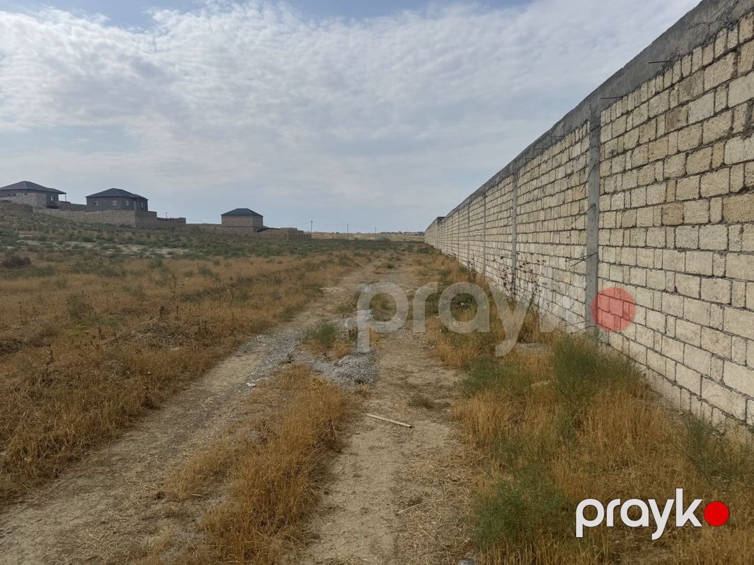 Satılır torpaq 98 sot — Torpaq, Bakı (3)
