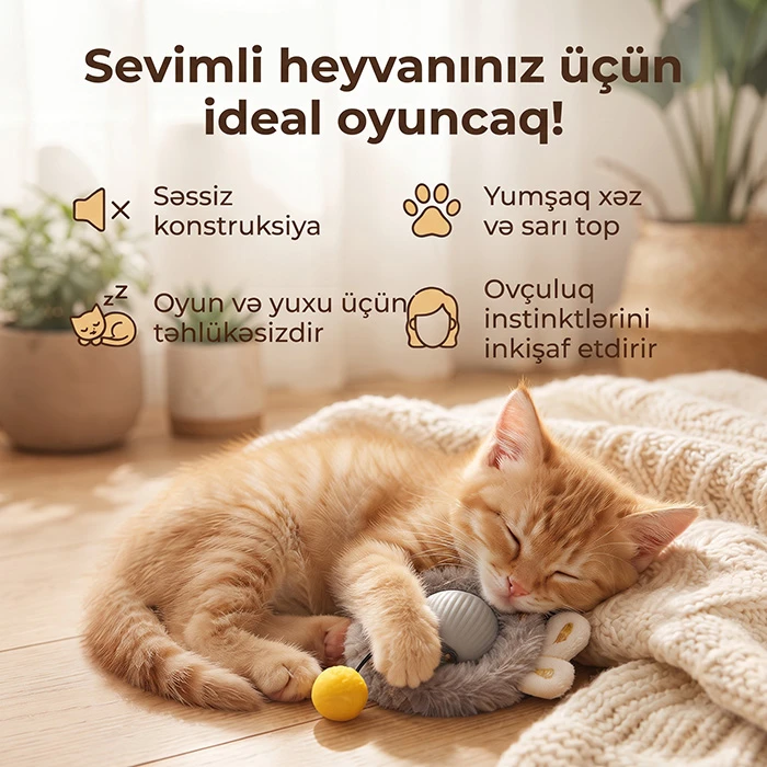 Pişik və İtlər üçün Ağıllı İnteraktiv Oyuncaq — Mallar, Bakı (4)