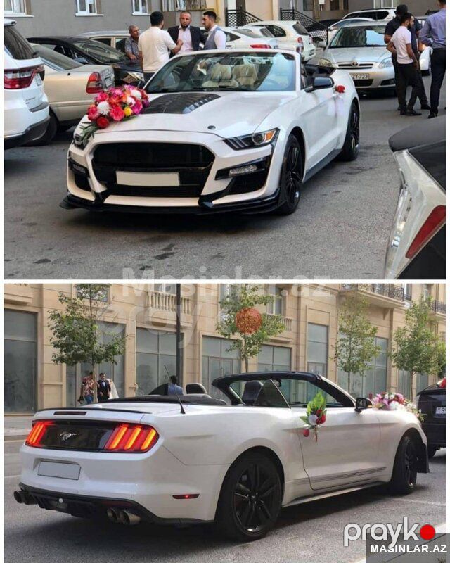 Ford Mustang Coupe, 2022 il 90-SR-228 — Minik avtomobili icarəsi, Bakı (4)