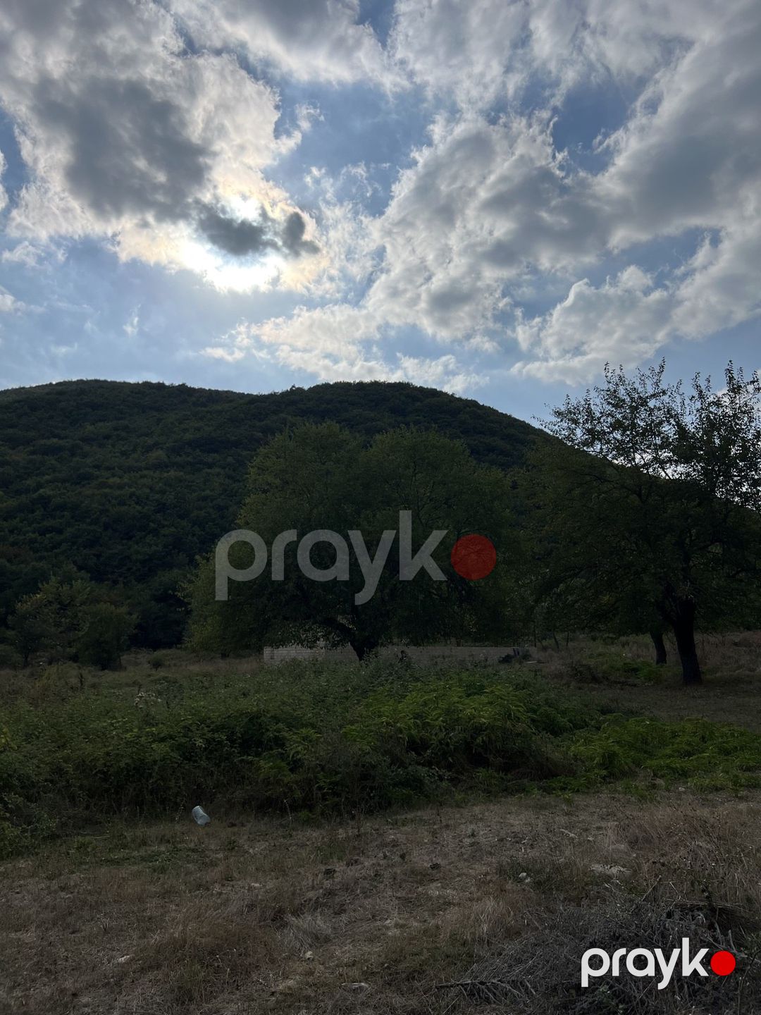 Satılır torpaq 10.5 sot — Torpaq, Şamaxı (6)