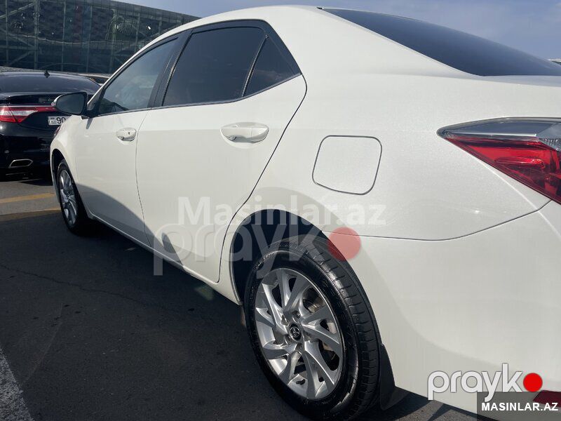 Toyota Corolla, 2014 il — Minik avtomobili icarəsi, Bakı (3)