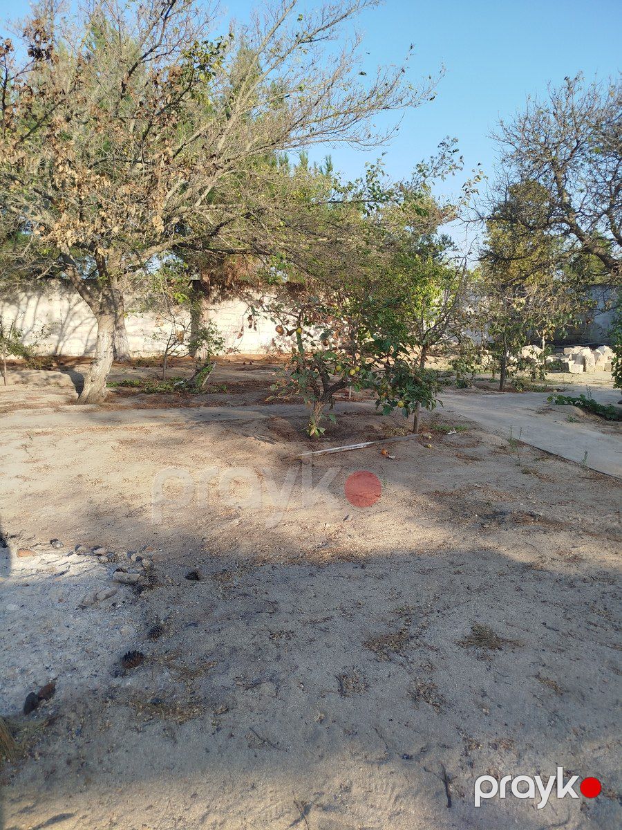 Satılır torpaq 2.8 sot — Torpaq, Bakı (3)