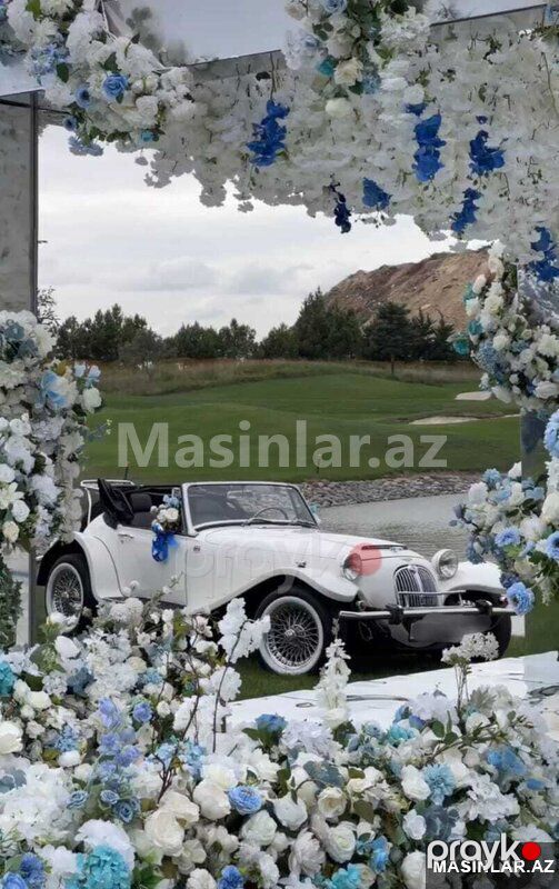 Jaguar jaguar kallista phantera callista, 1955 il — Minik avtomobili icarəsi, Bakı (8)
