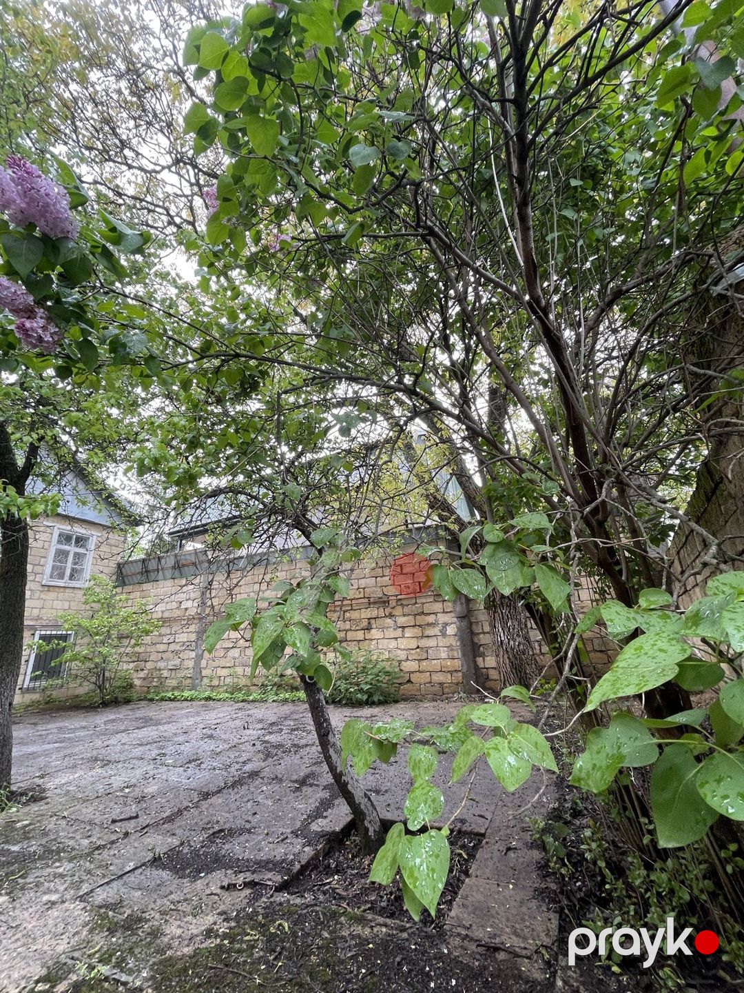 Satılır 3 otaqlı həyət evi/bağ evi 100 m² — Ev, villa, Şamaxı (2)