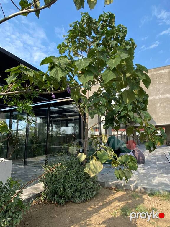 Satılır 14 otaqlı həyət evi/bağ evi 375 m² — Ev, villa, Bakı (4)