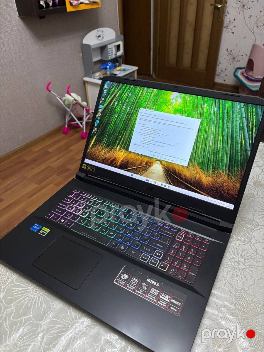 Acer Nitro Gaming RTX 3070 — Noutbuklar, Bakı (3)