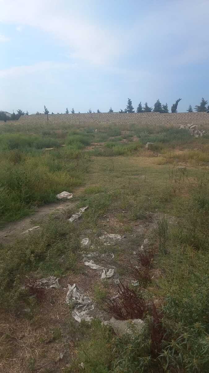 Satılır torpaq 23 sot — Torpaq, Bakı (3)