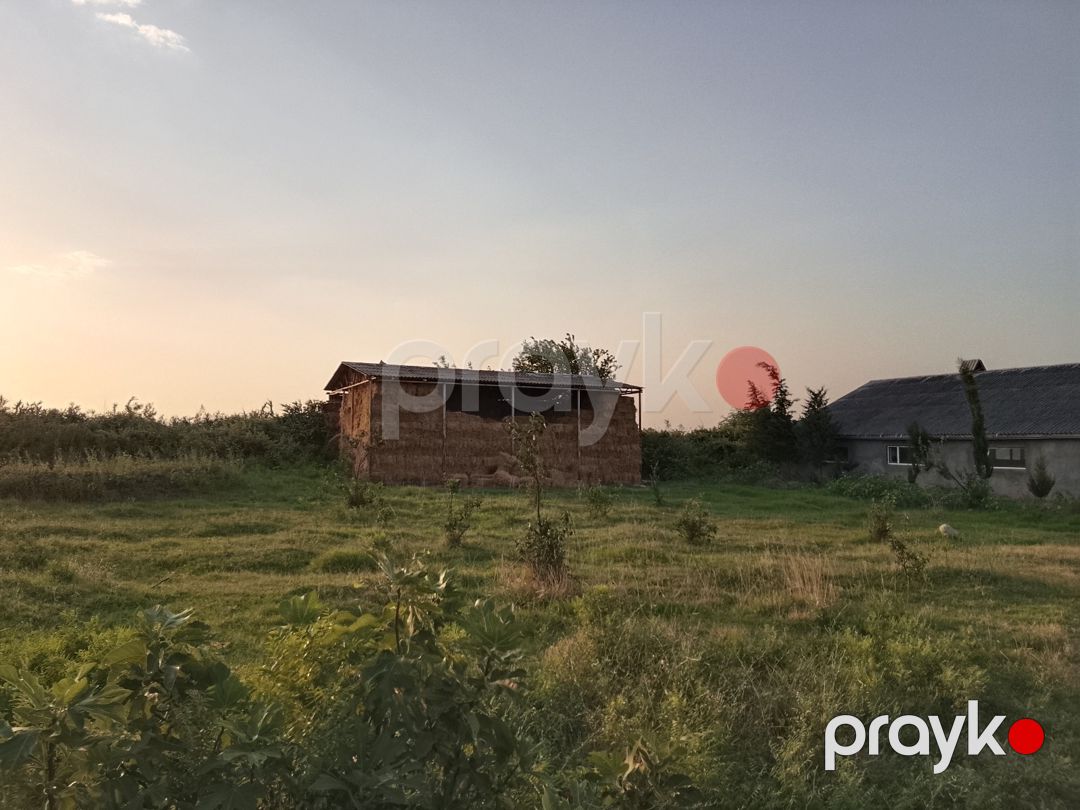 600 sot torpaq sahəsi, Şabran r — Torpaq, Şabran (10)